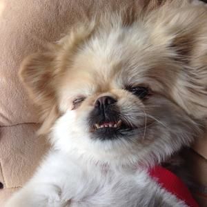 Meet your Posher, Bill